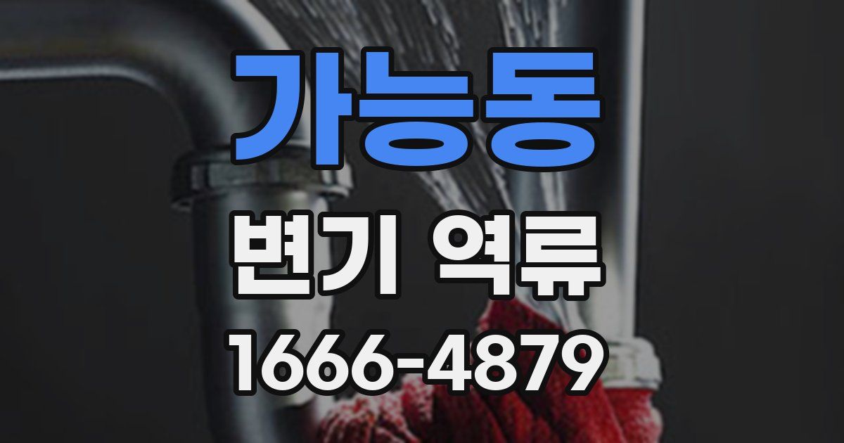 가능동 변기 역류