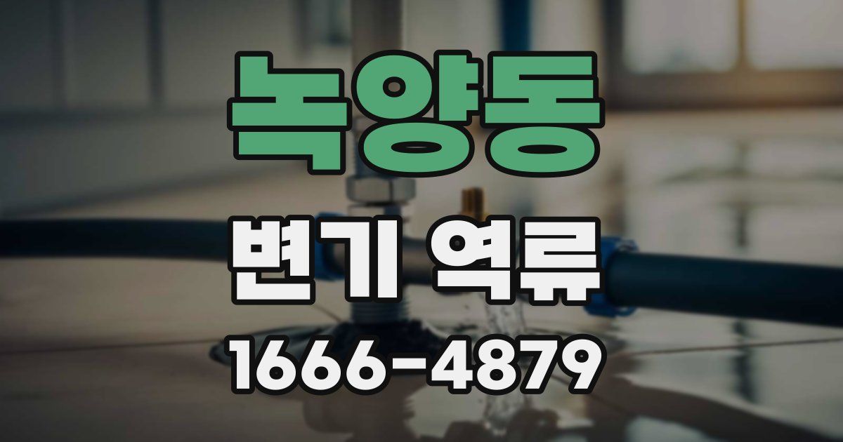 녹양동 변기 역류