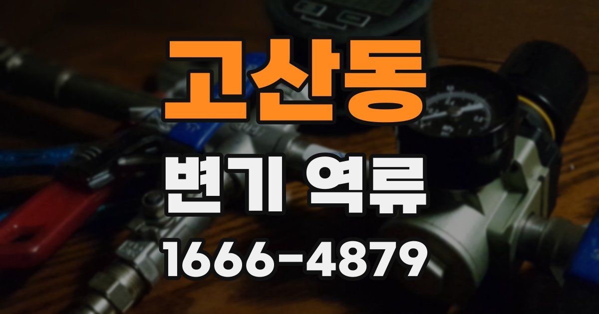고산동 변기 역류