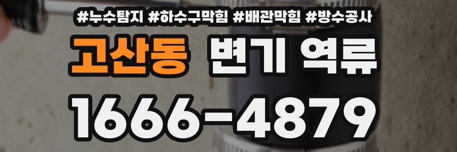 고산동 변기 역류