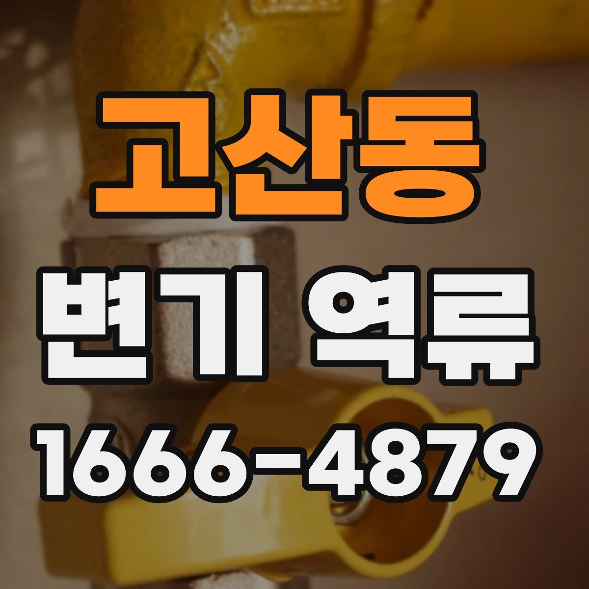 고산동 변기 역류