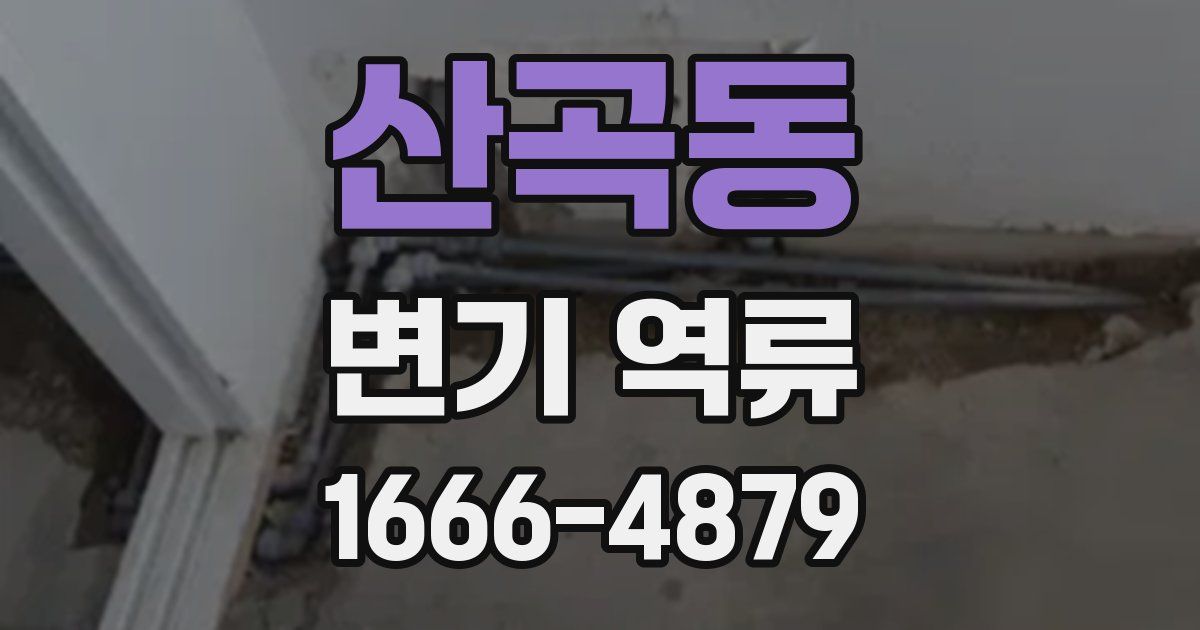 산곡동 변기 역류