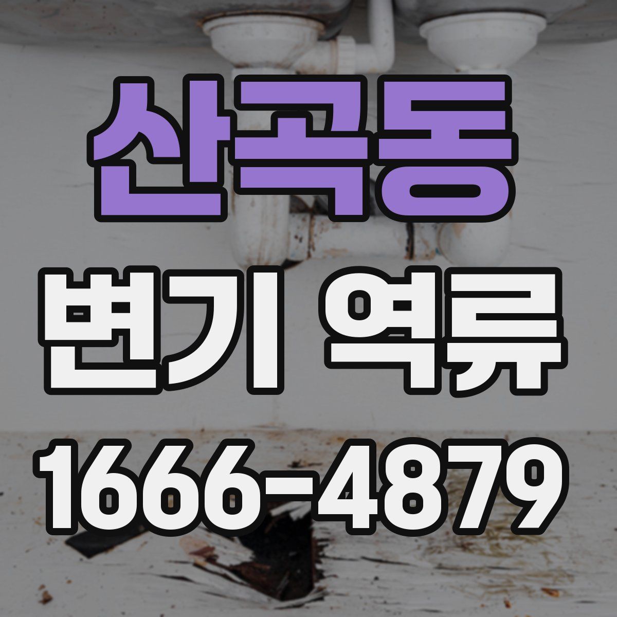 산곡동 변기 역류
