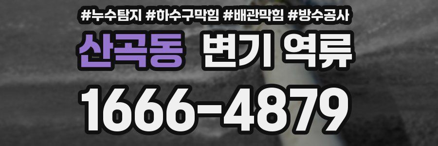 산곡동 변기 역류