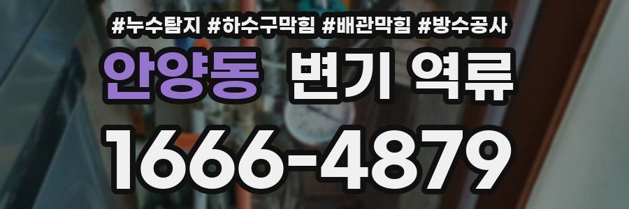안양동 변기 역류