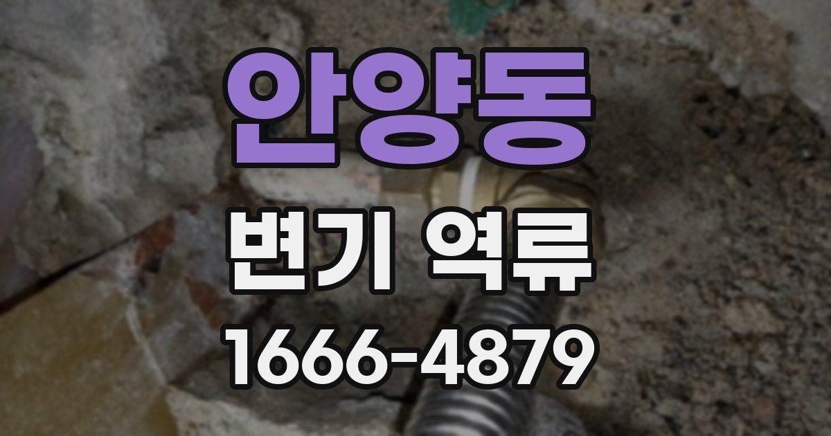 안양동 변기 역류