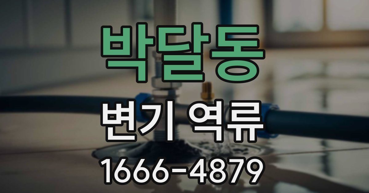 박달동 변기 역류