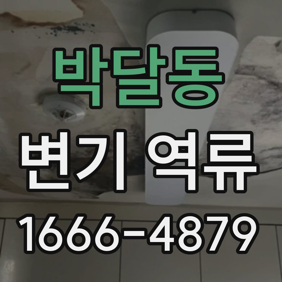 박달동 변기 역류