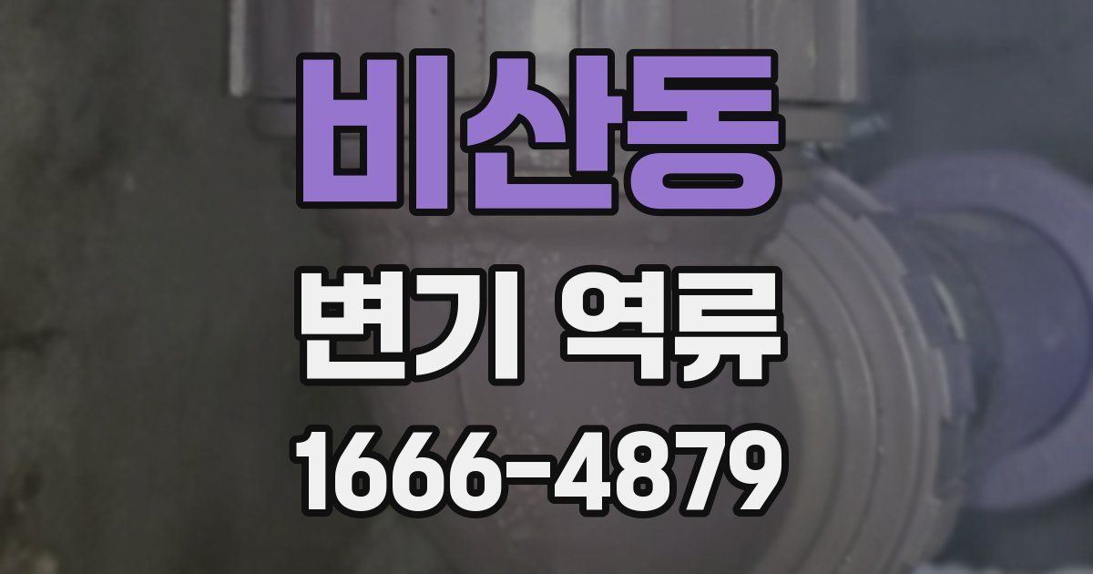비산동 변기 역류