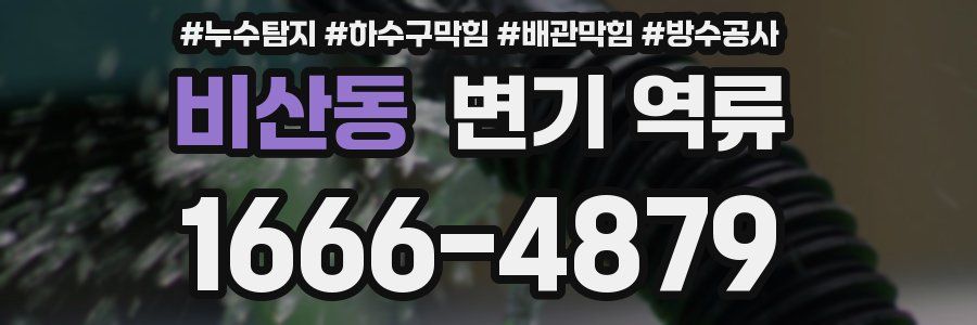 비산동 변기 역류