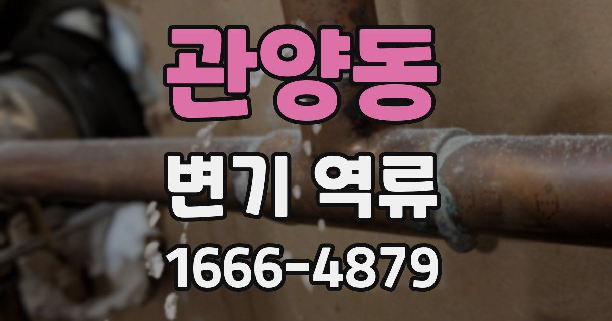 관양동 변기 역류