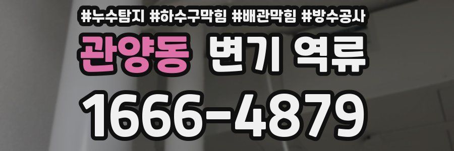 관양동 변기 역류