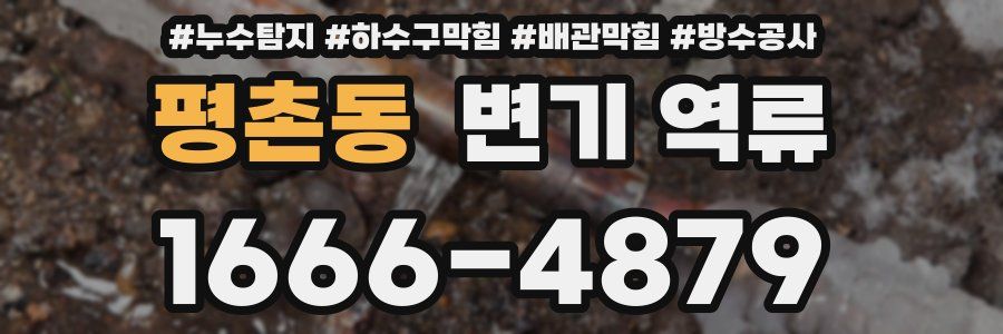 평촌동 변기 역류
