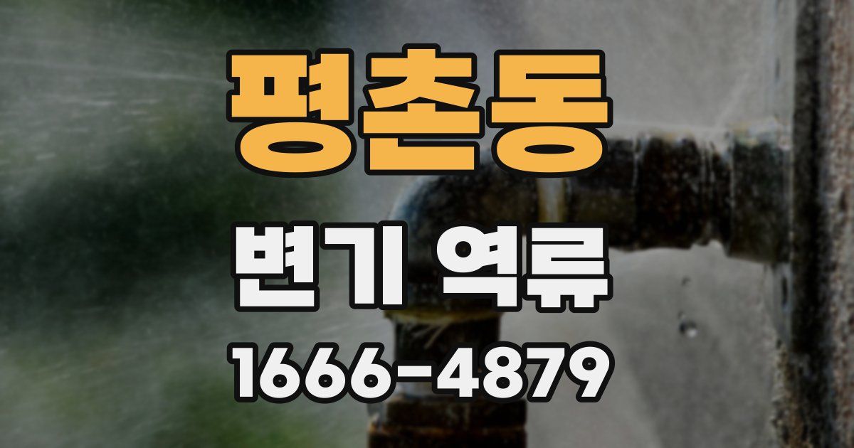 평촌동 변기 역류