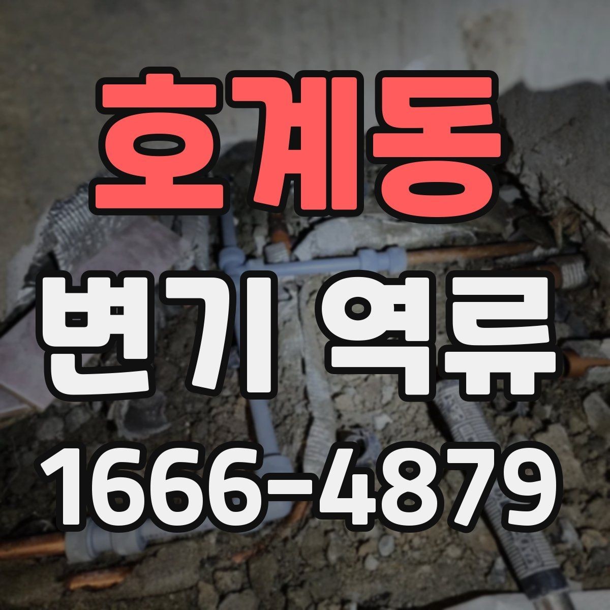 호계동 변기 역류 냄새·소리·물높이로 보는 이상 징후