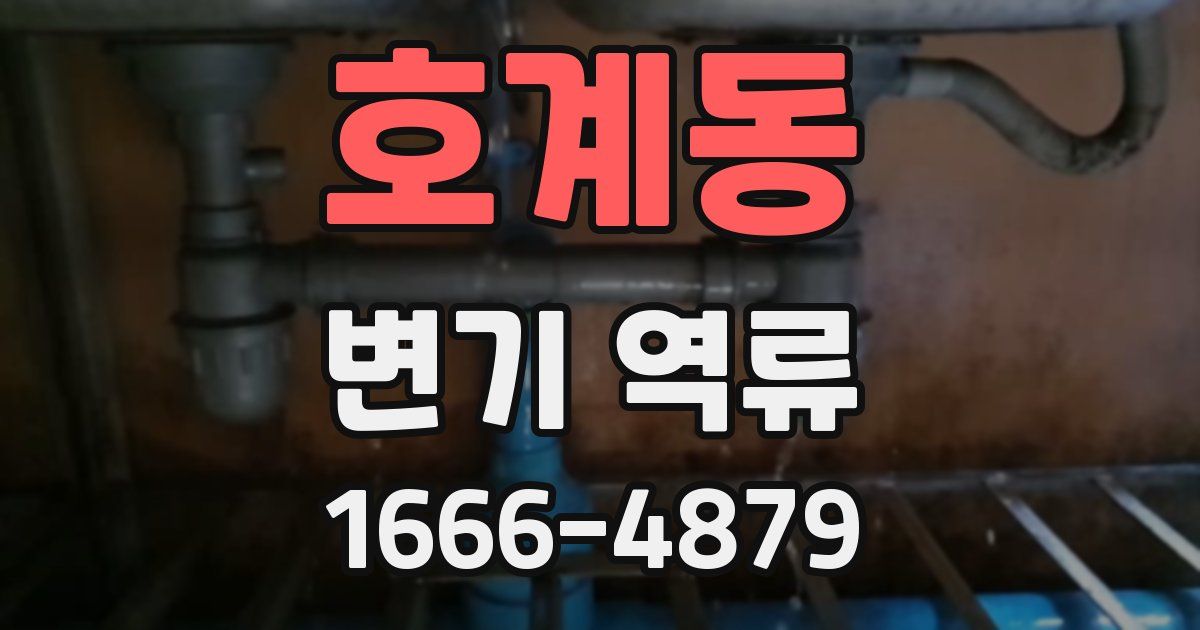 호계동 변기 역류