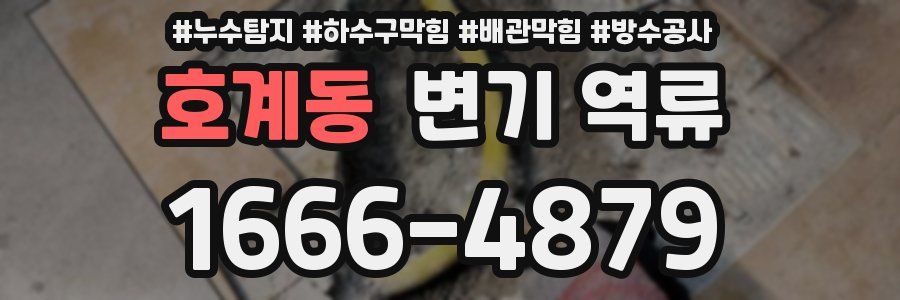 호계동 변기 역류