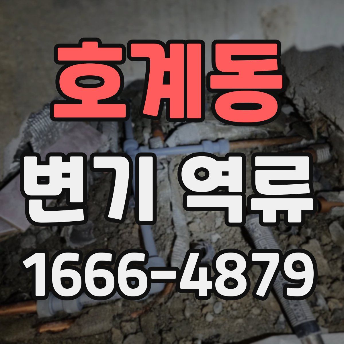호계동 변기 역류