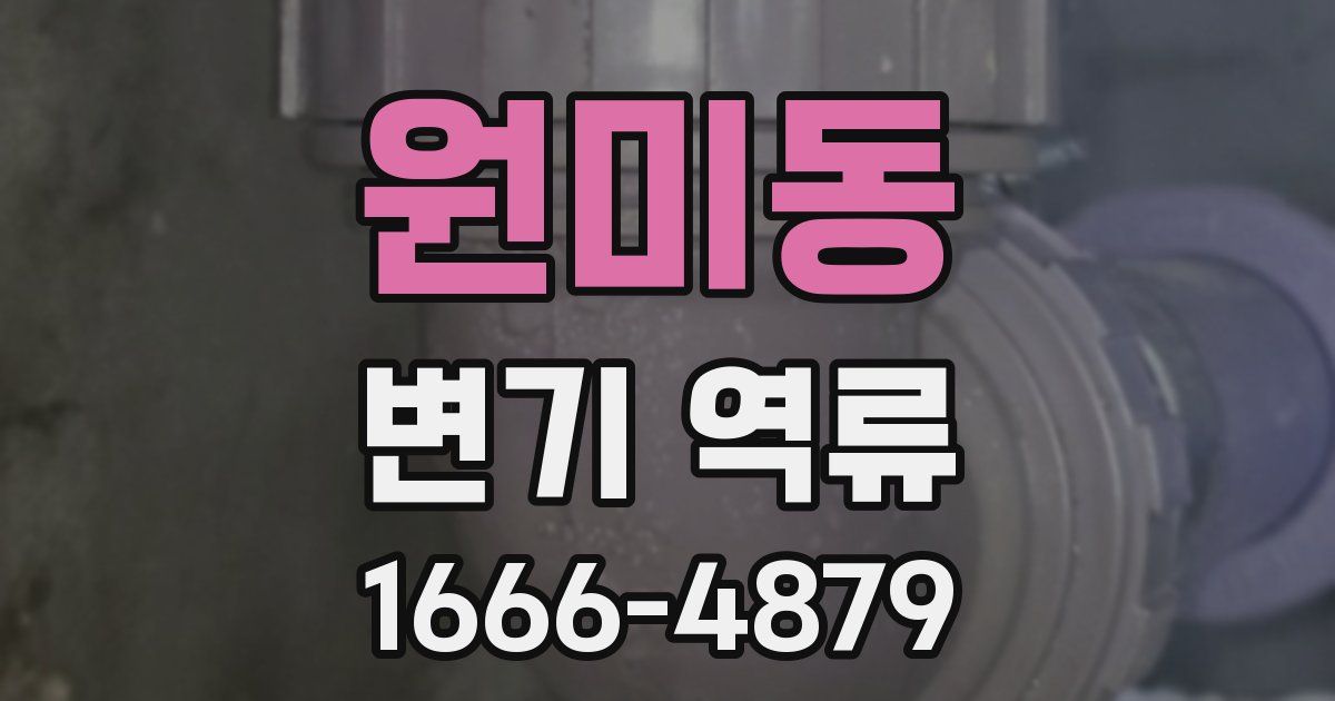 원미동 변기 역류