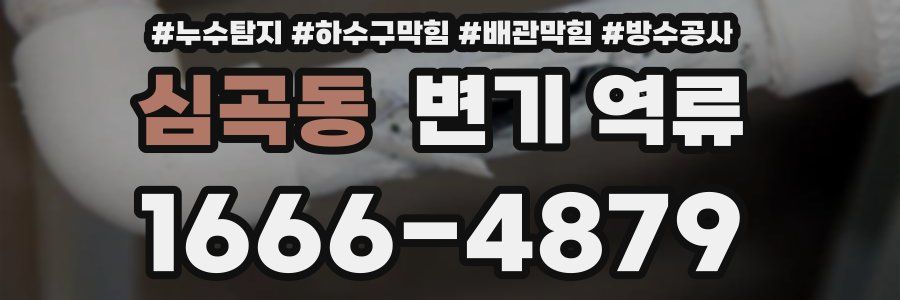 심곡동 변기 역류