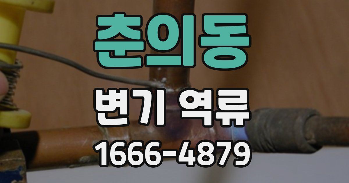 춘의동 변기 역류
