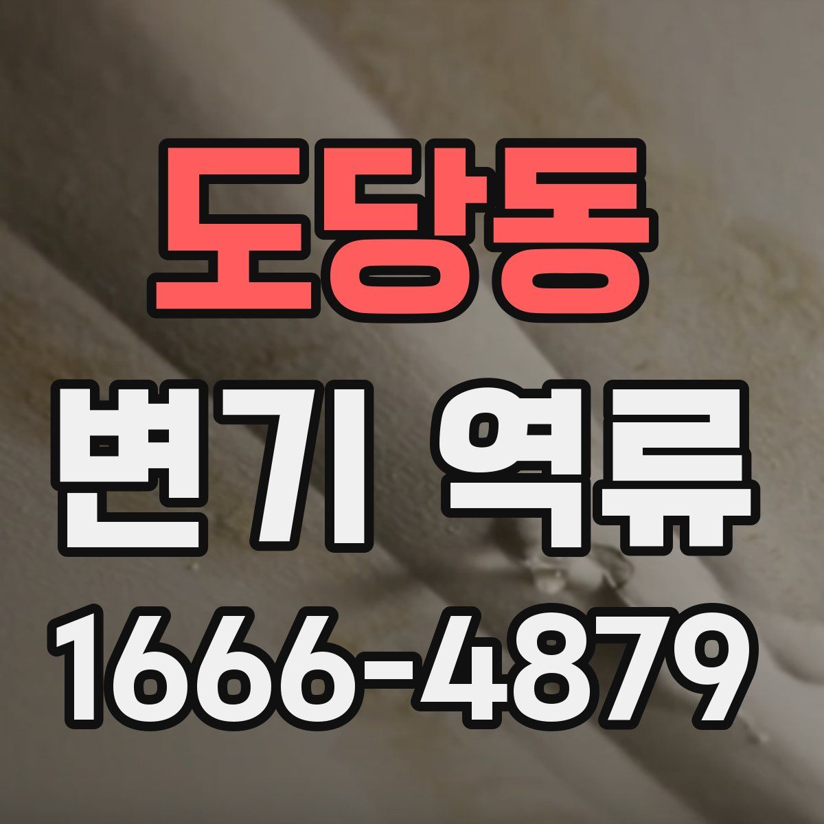 도당동 변기 역류