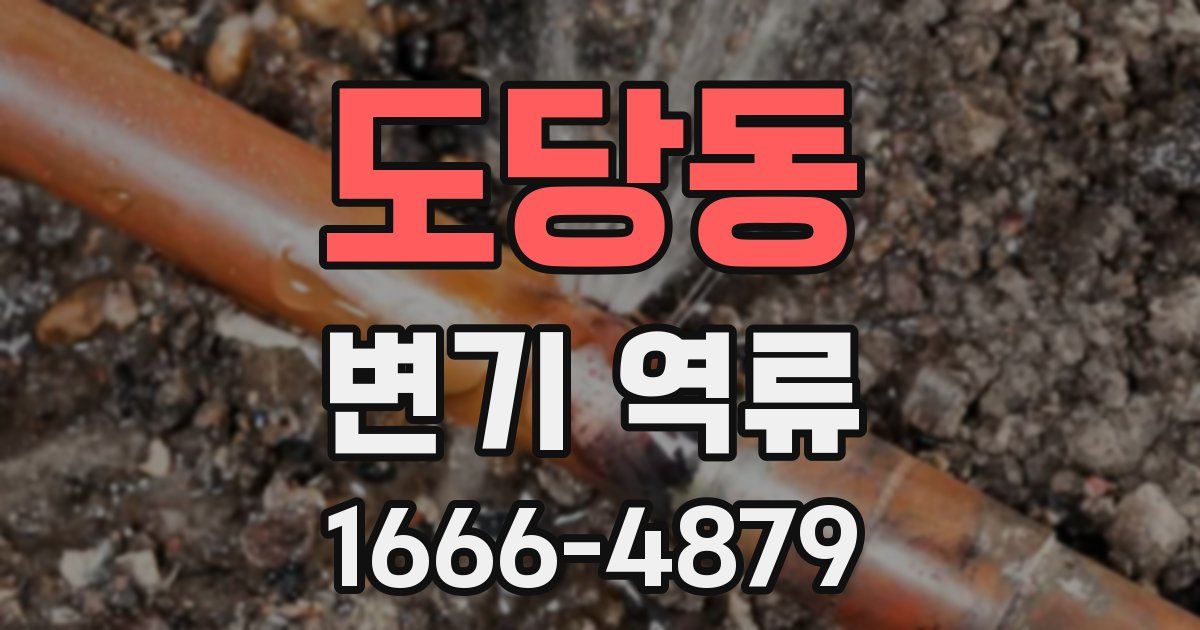도당동 변기 역류