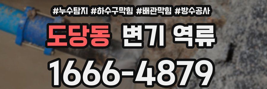 도당동 변기 역류