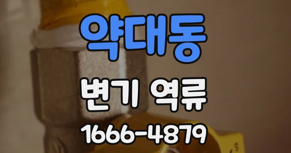 약대동 변기 역류