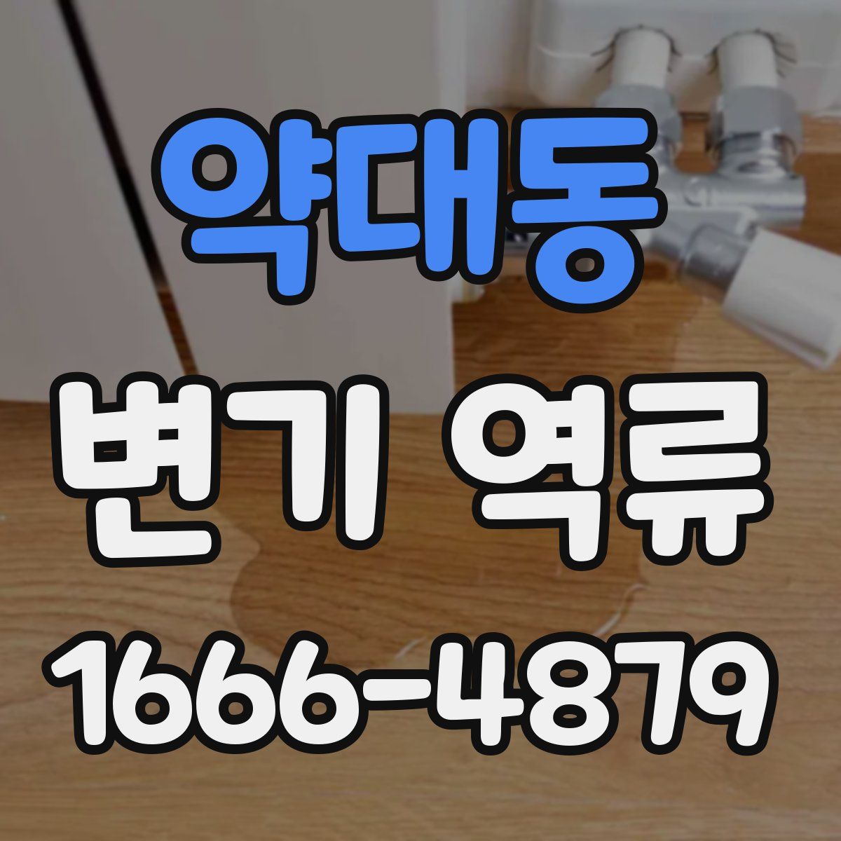 약대동 변기 역류