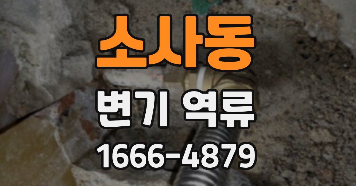 소사동 변기 역류