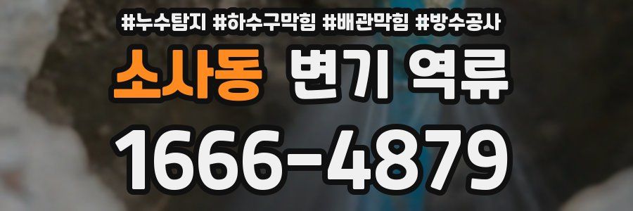 소사동 변기 역류