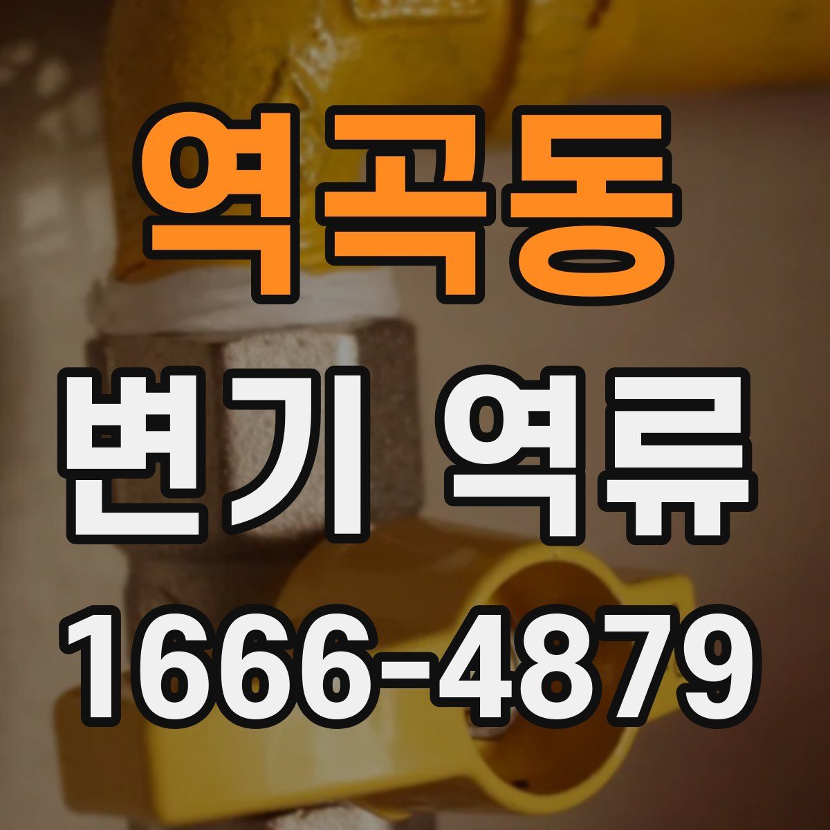 역곡동 변기 역류
