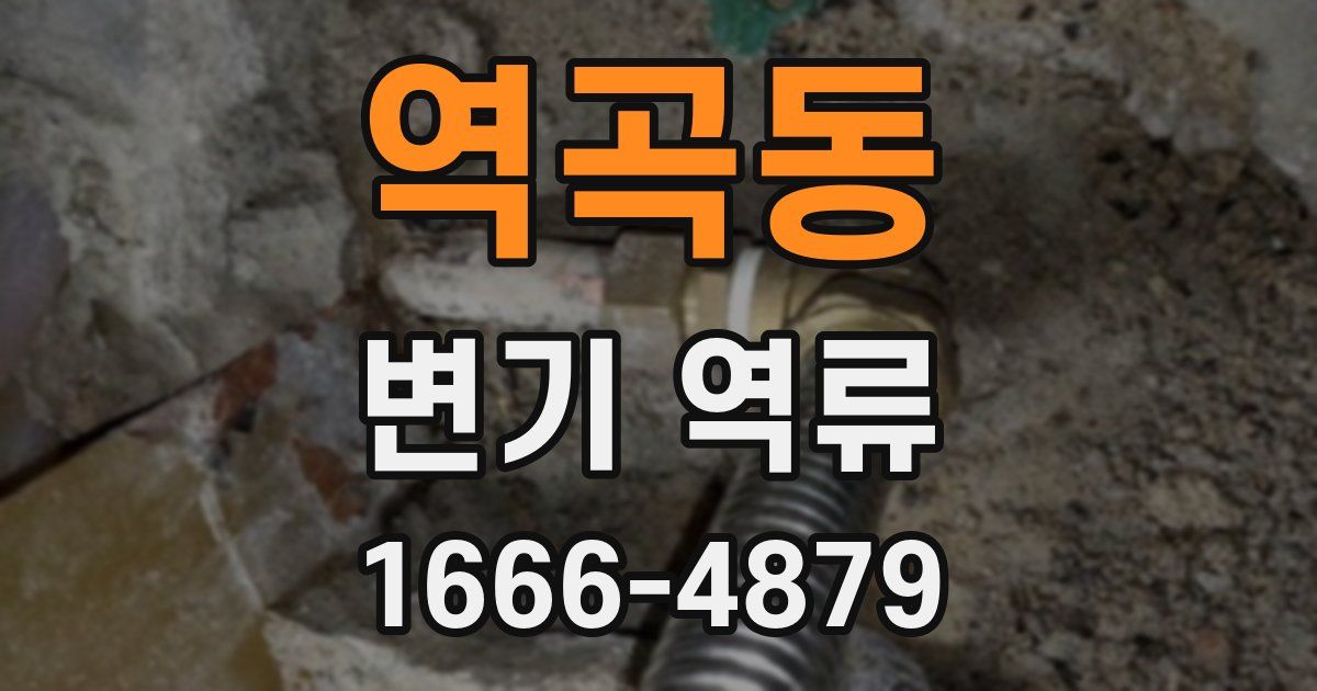 역곡동 변기 역류