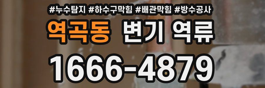 역곡동 변기 역류