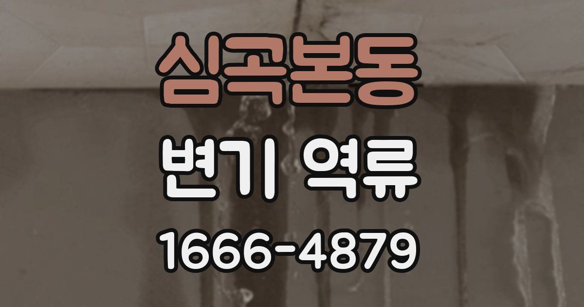 심곡본동 변기 역류