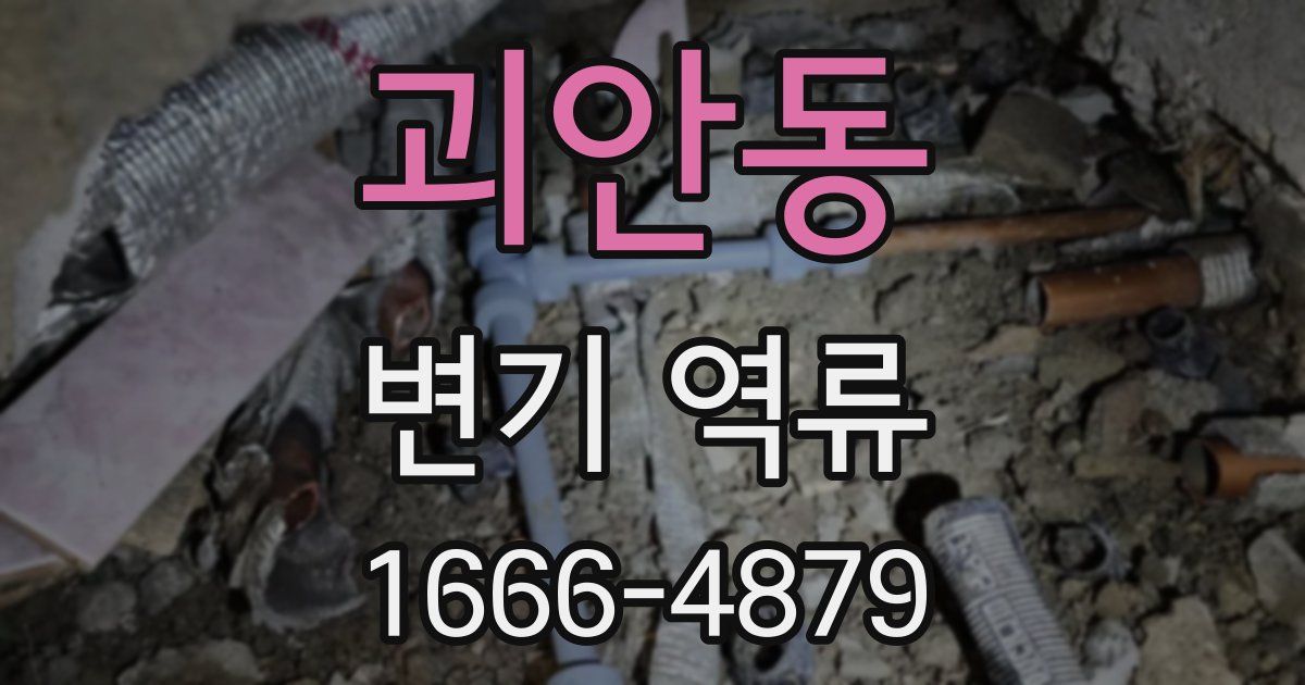 괴안동 변기 역류