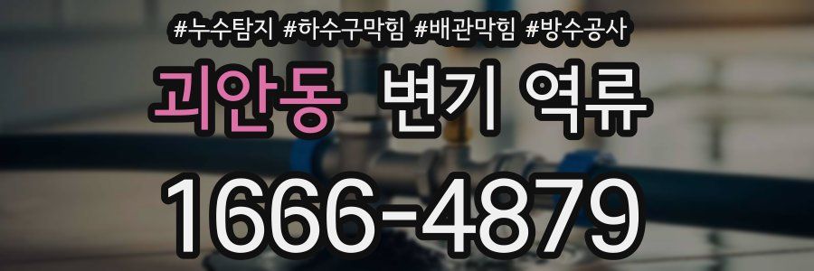 괴안동 변기 역류