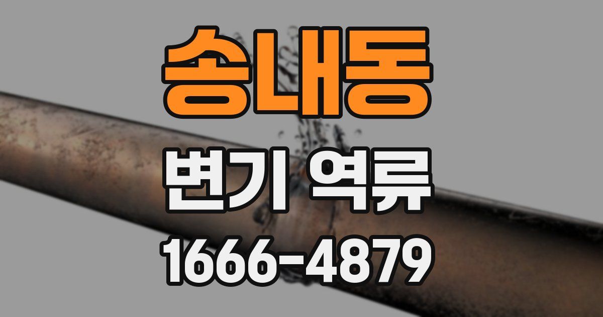 송내동 변기 역류