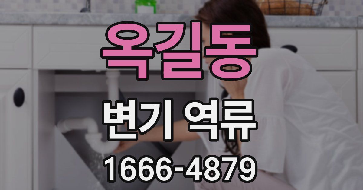 옥길동 변기 역류
