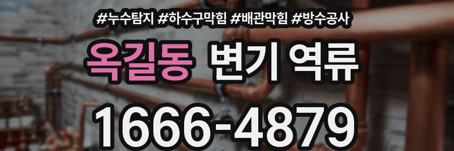 옥길동 변기 역류