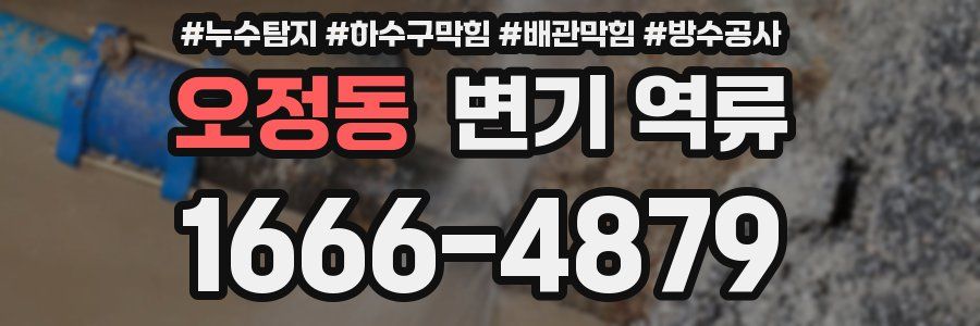 오정동 변기 역류