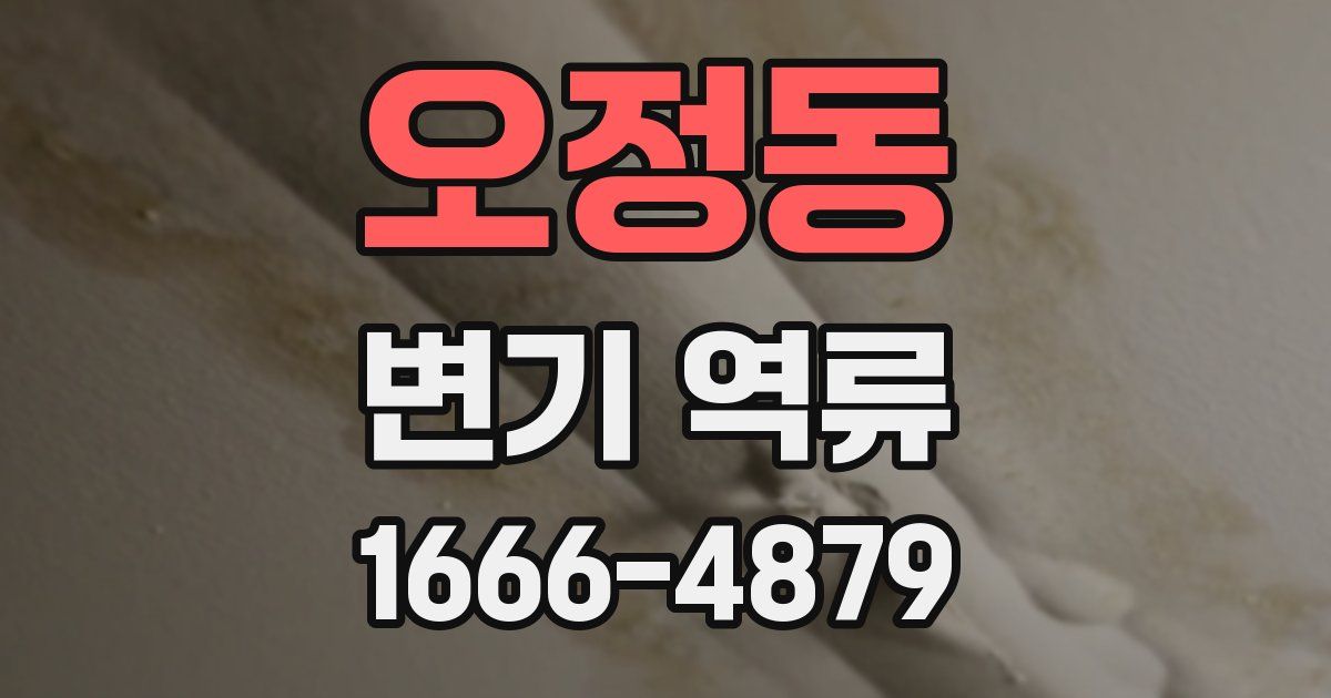 오정동 변기 역류