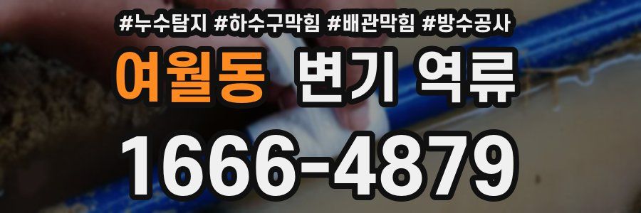 여월동 변기 역류