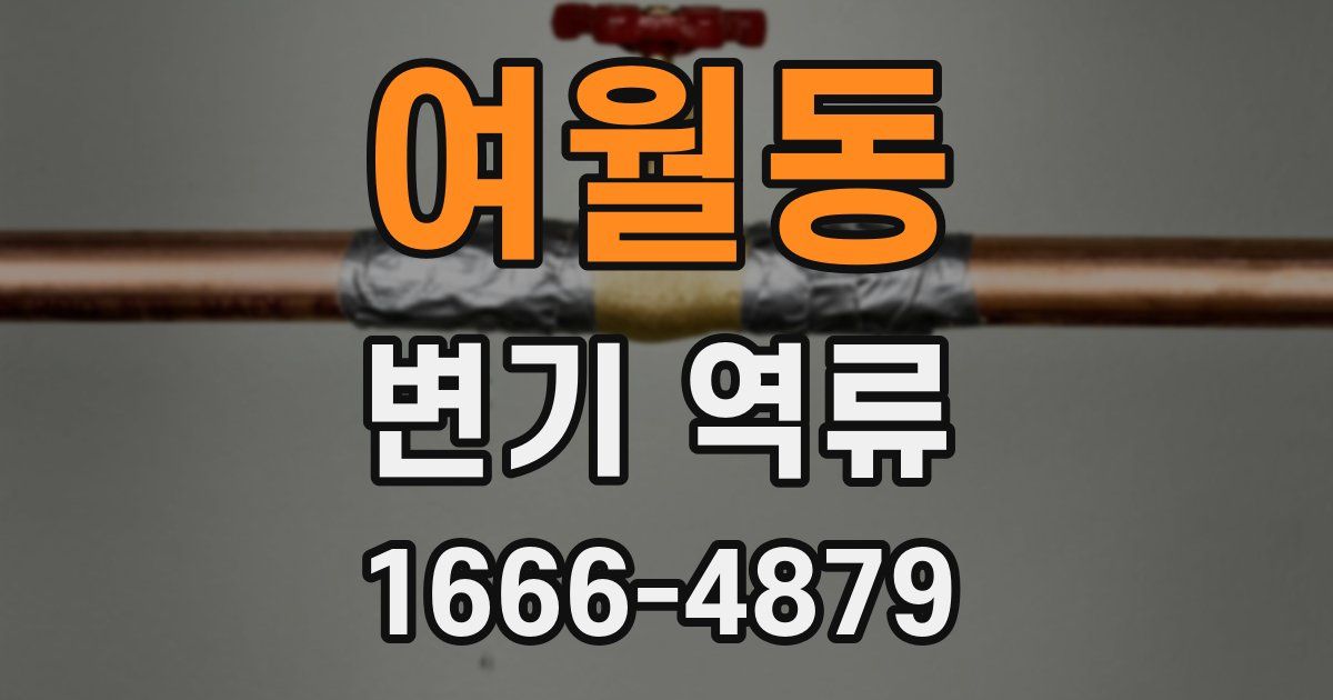 여월동 변기 역류