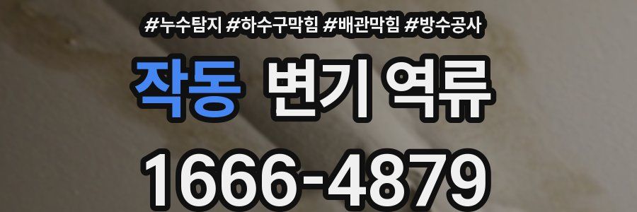 작동 변기 역류