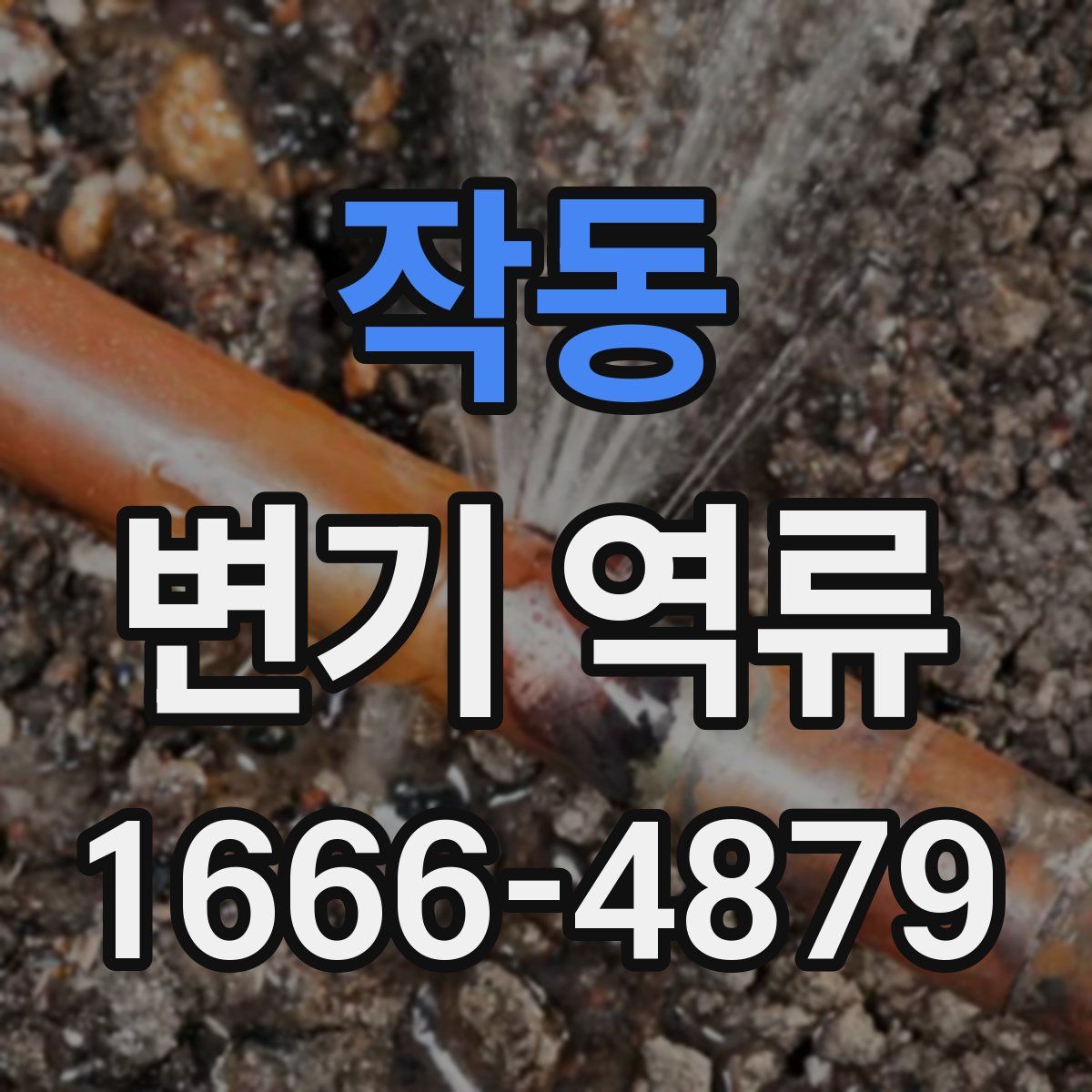작동 변기 역류