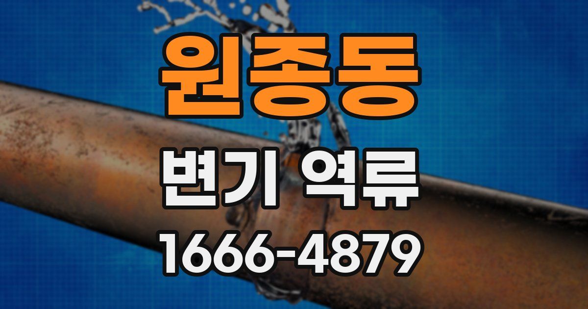 원종동 변기 역류