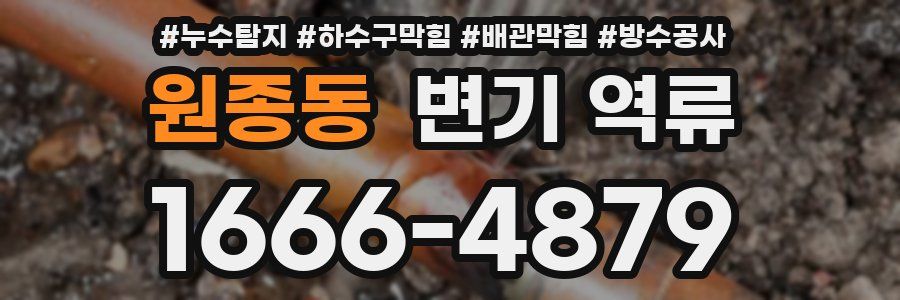 원종동 변기 역류