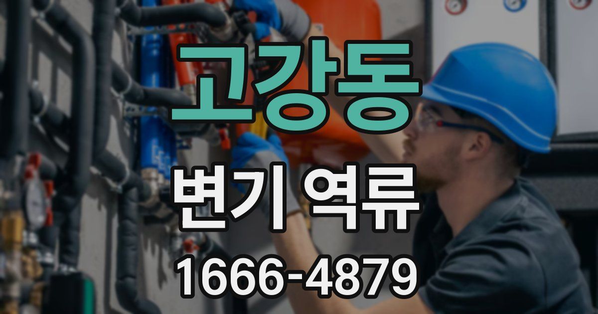 고강동 변기 역류